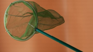 Vogel - Kescher grün Ø 22 cm