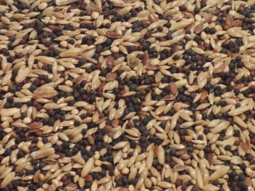 Kanarienfutter ECO