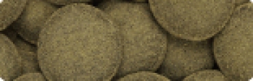 Hikari Algae Wafers