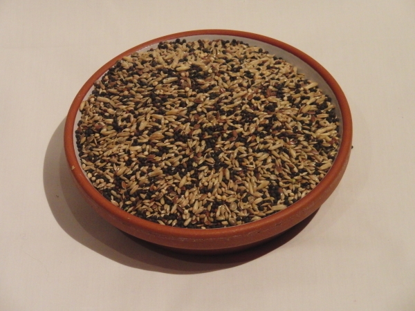 Kanarienfutter ECO