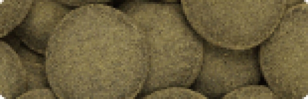 Hikari Algae Wafers