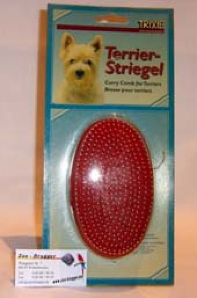 Terrier Striegel